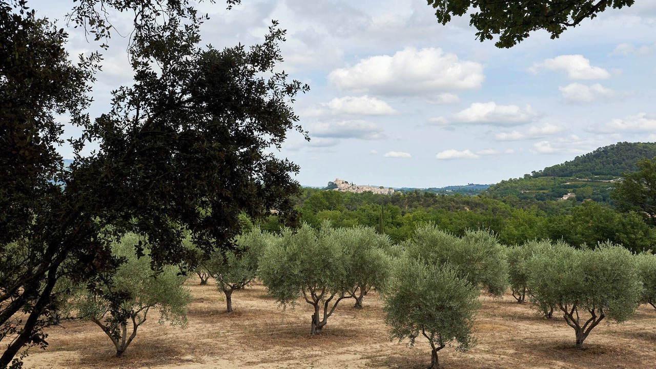 Photo of Outdoor in Villelaure