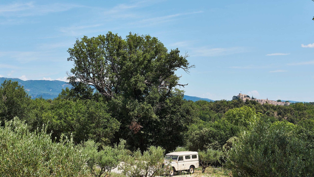 Photo of Outdoor in Villelaure