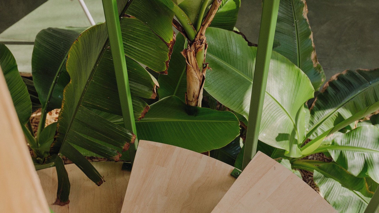 Photo of Outdoor in Villelaure