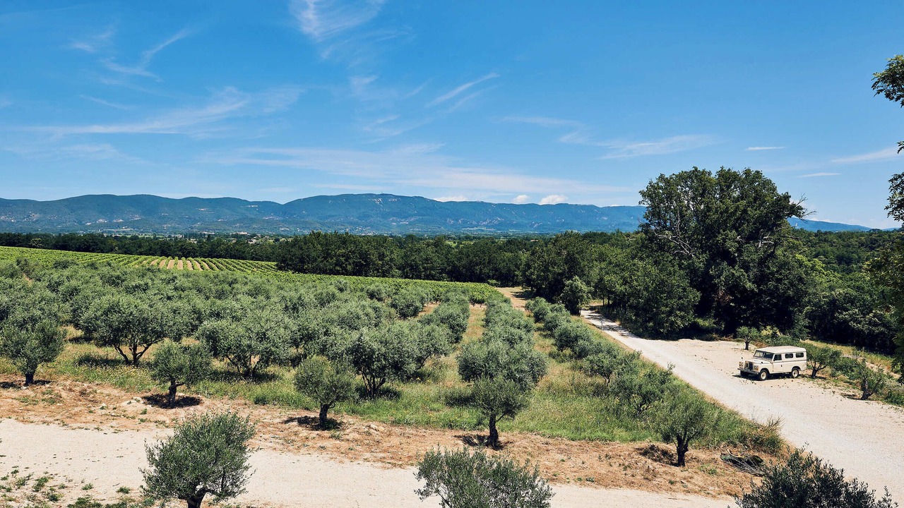 Photo of Outdoor in Villelaure