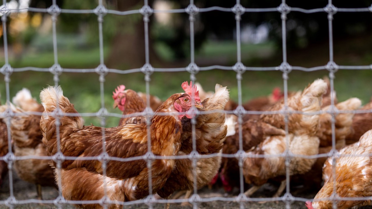 Photo of Others in Ronks