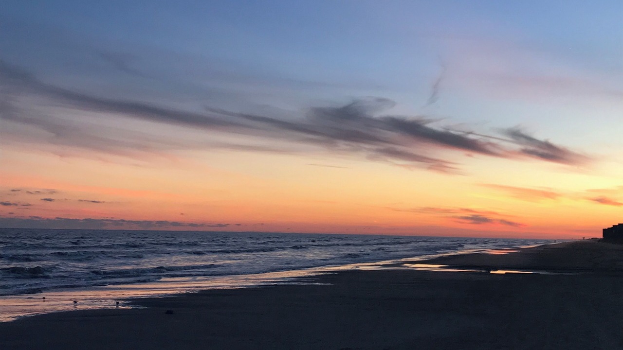 Photo of Others in Galveston