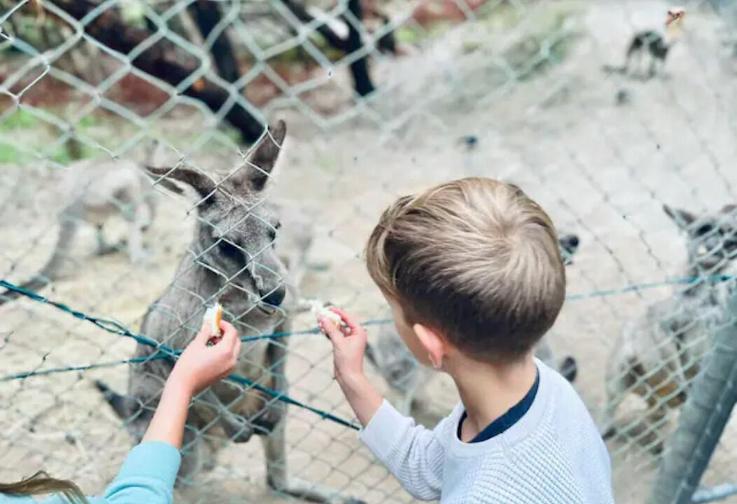 Photo of Others in Chiltern