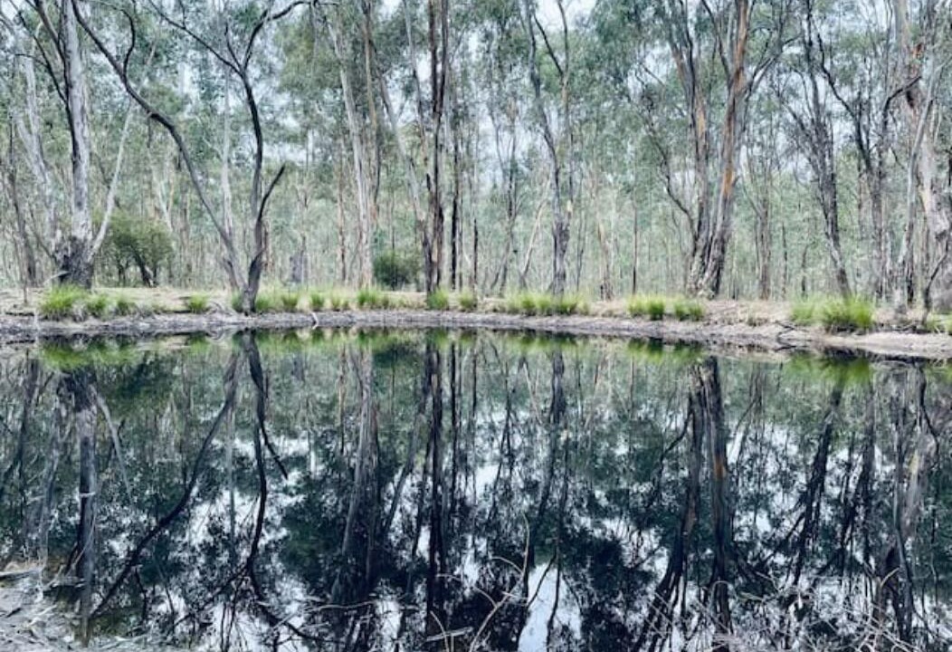 Photo of Outdoor in Chiltern