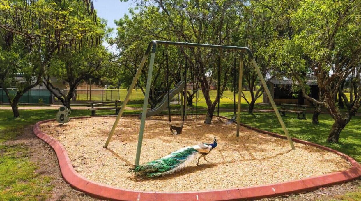 Photo of Others in Chiltern