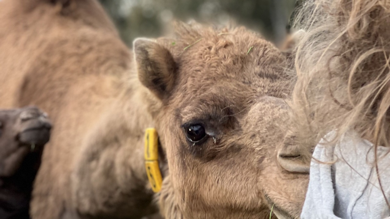 Photo of Others in Chiltern