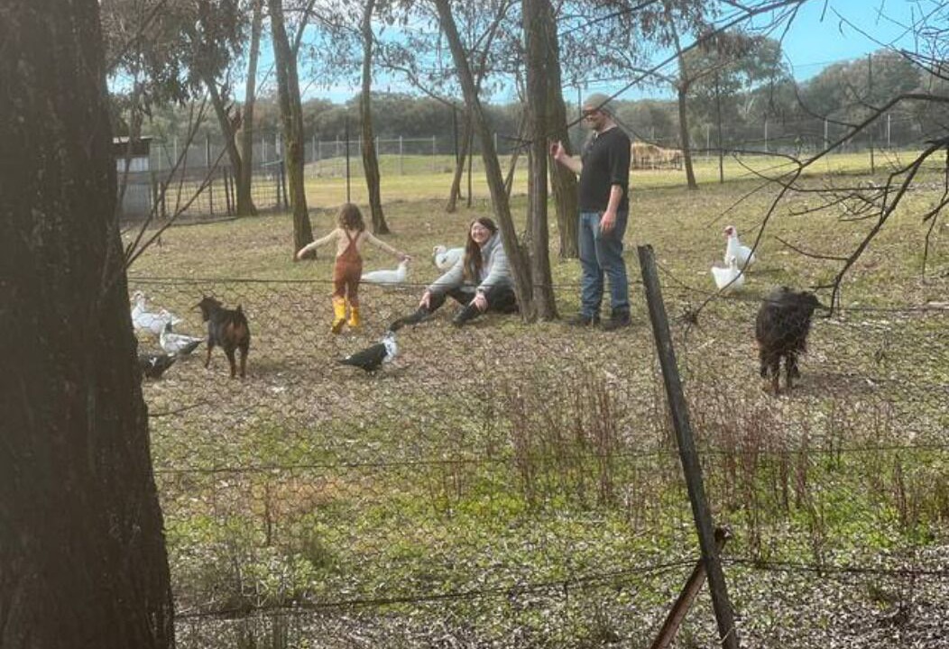 Photo of Others in Chiltern