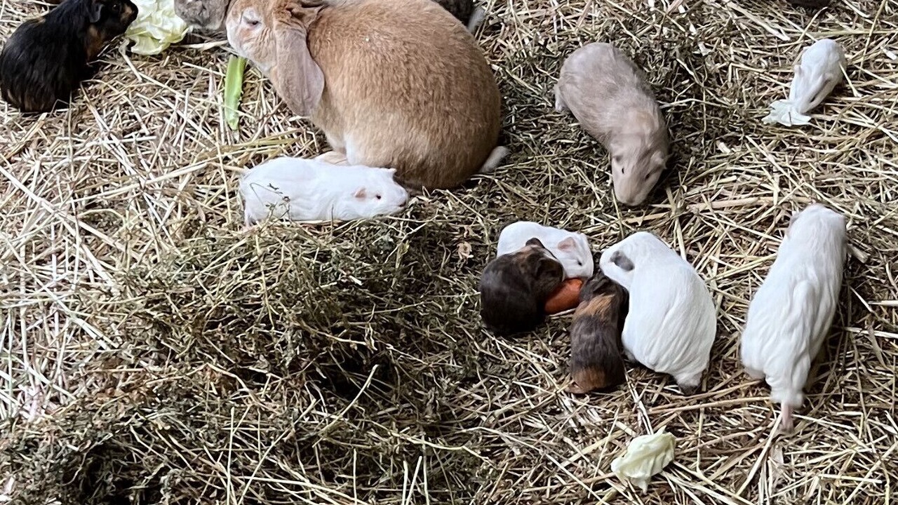 Photo of Outdoor in Chiltern