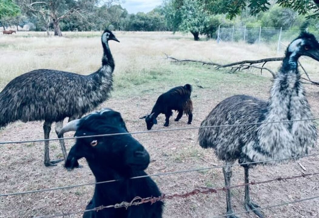 Photo of Others in Chiltern