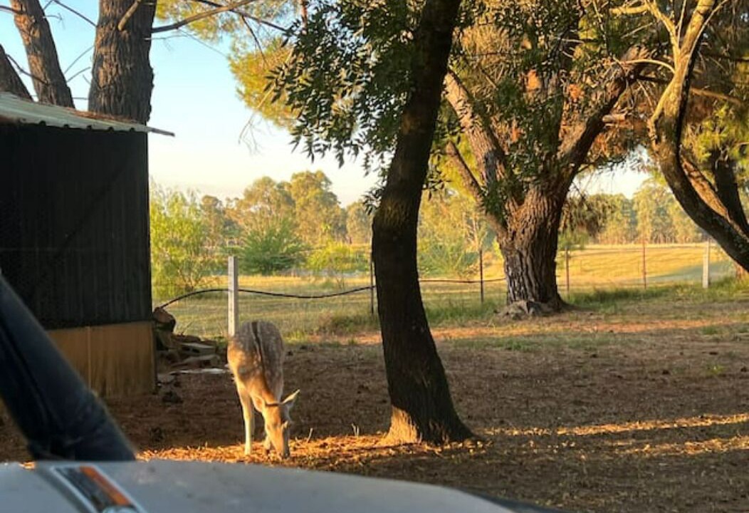 Photo of Outdoor in Chiltern