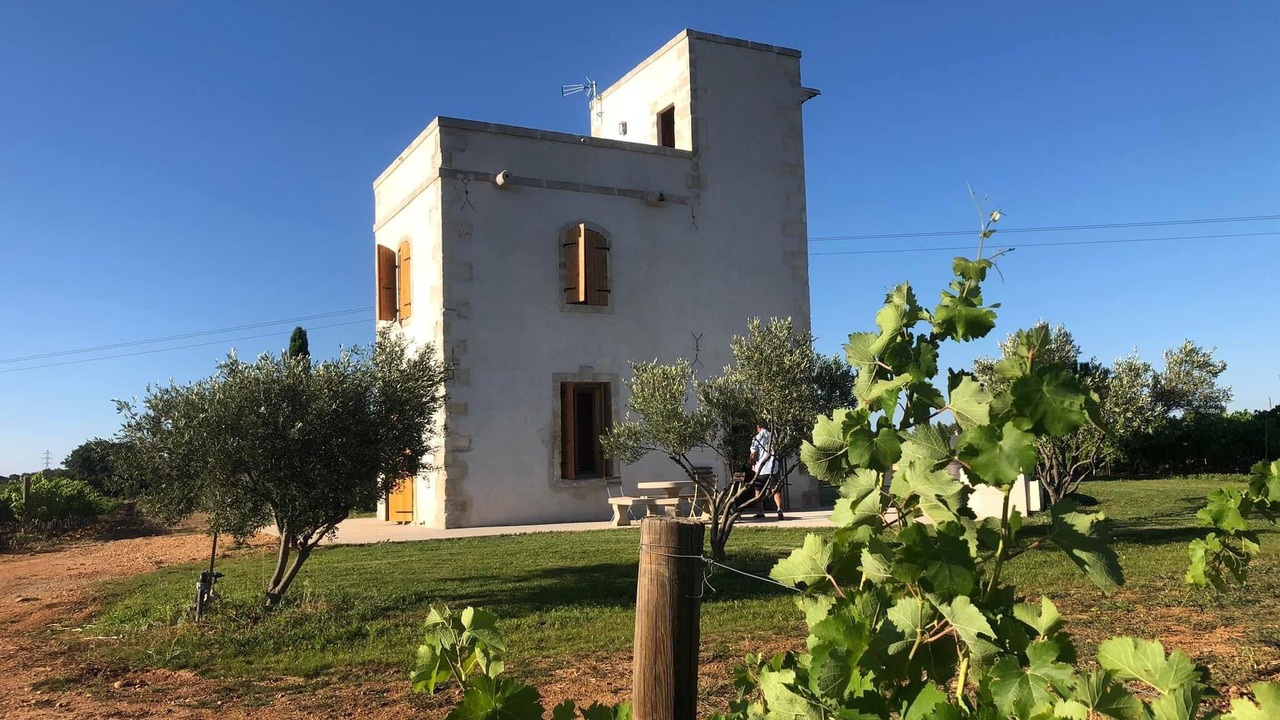 Photo of Outdoor in Lunel-Viel