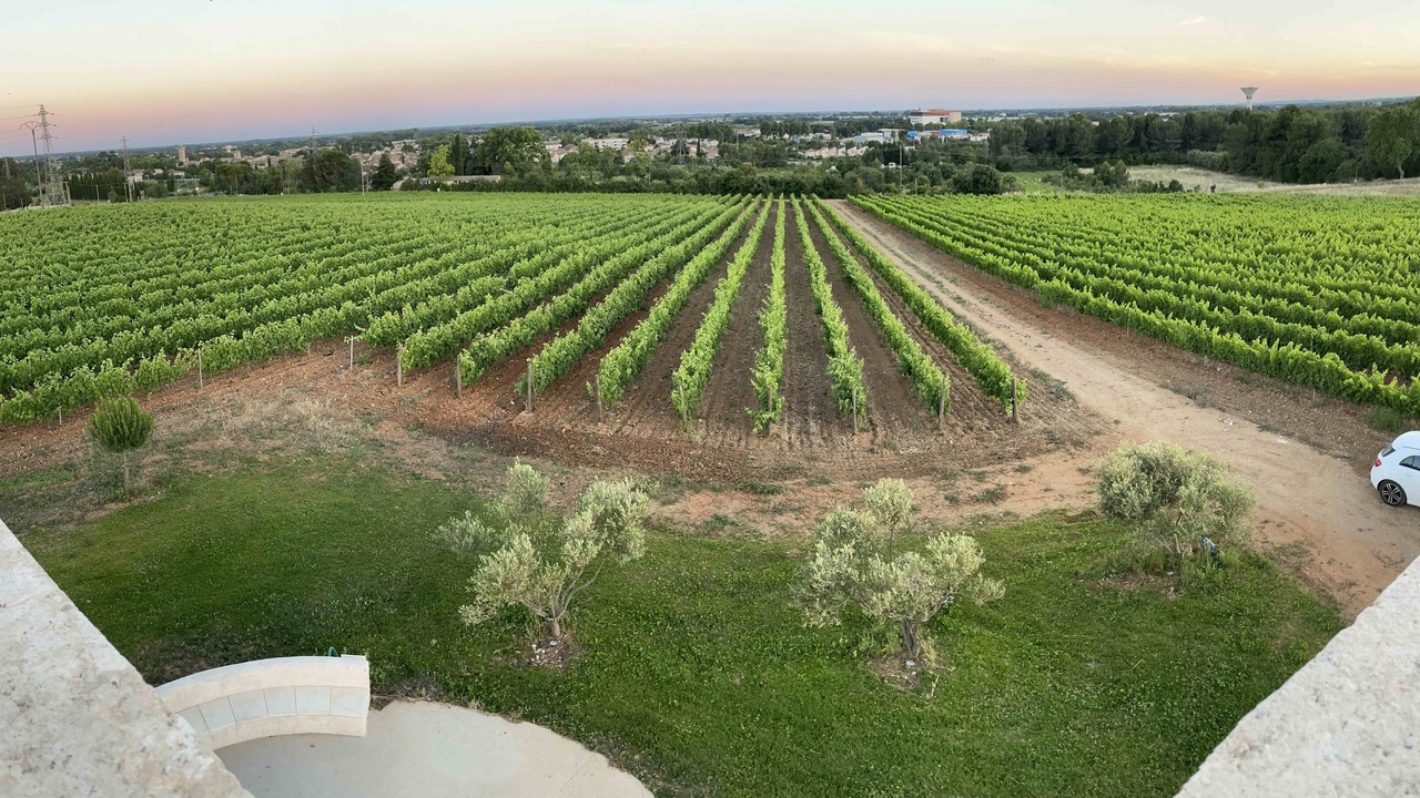 Photo of Outdoor in Lunel-Viel