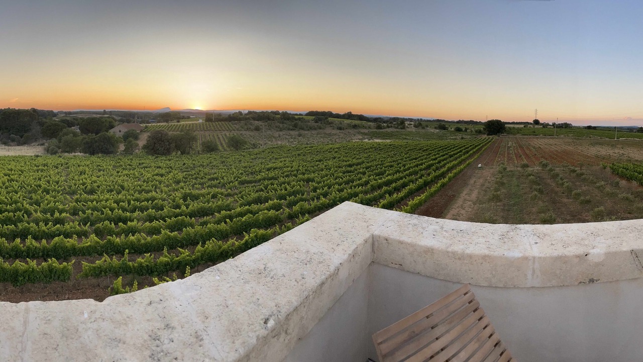 Photo of Outdoor in Lunel-Viel