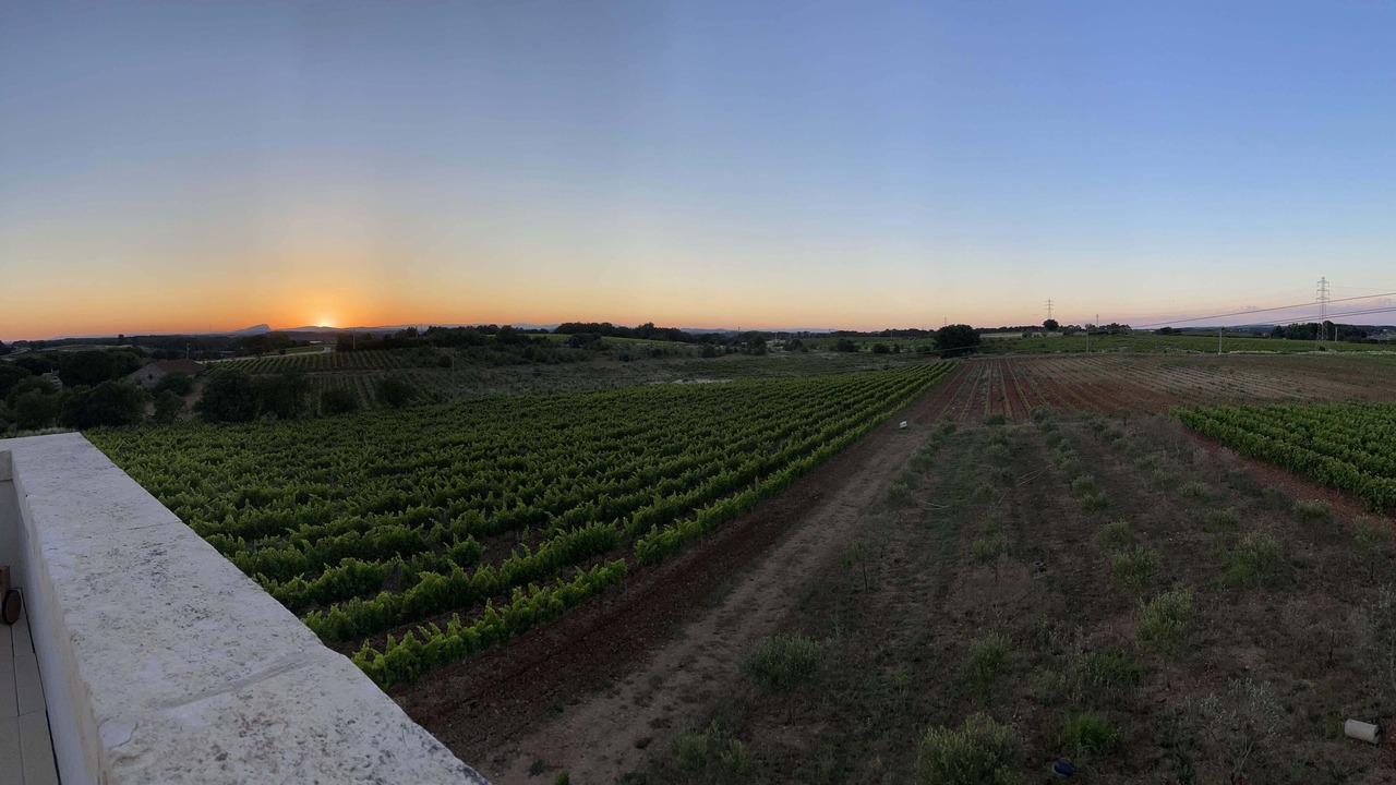 Photo of Outdoor in Lunel-Viel