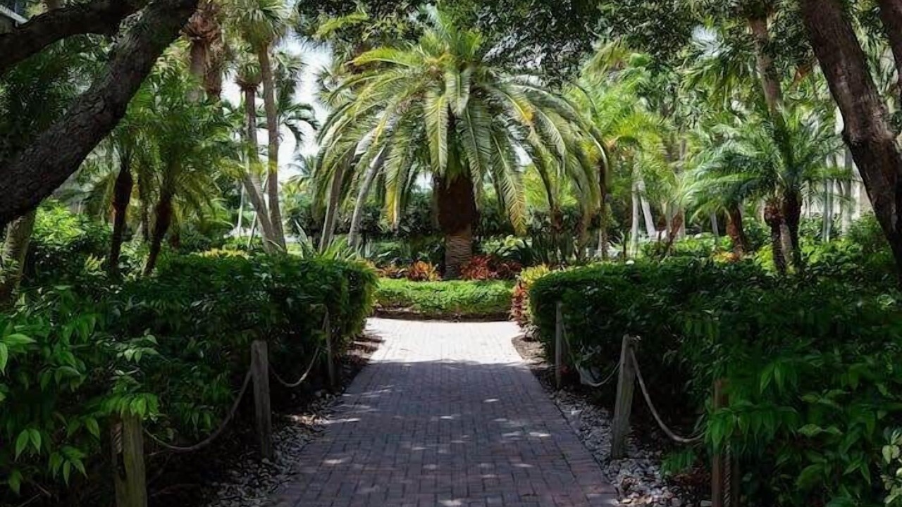 Photo of Outdoor in Captiva