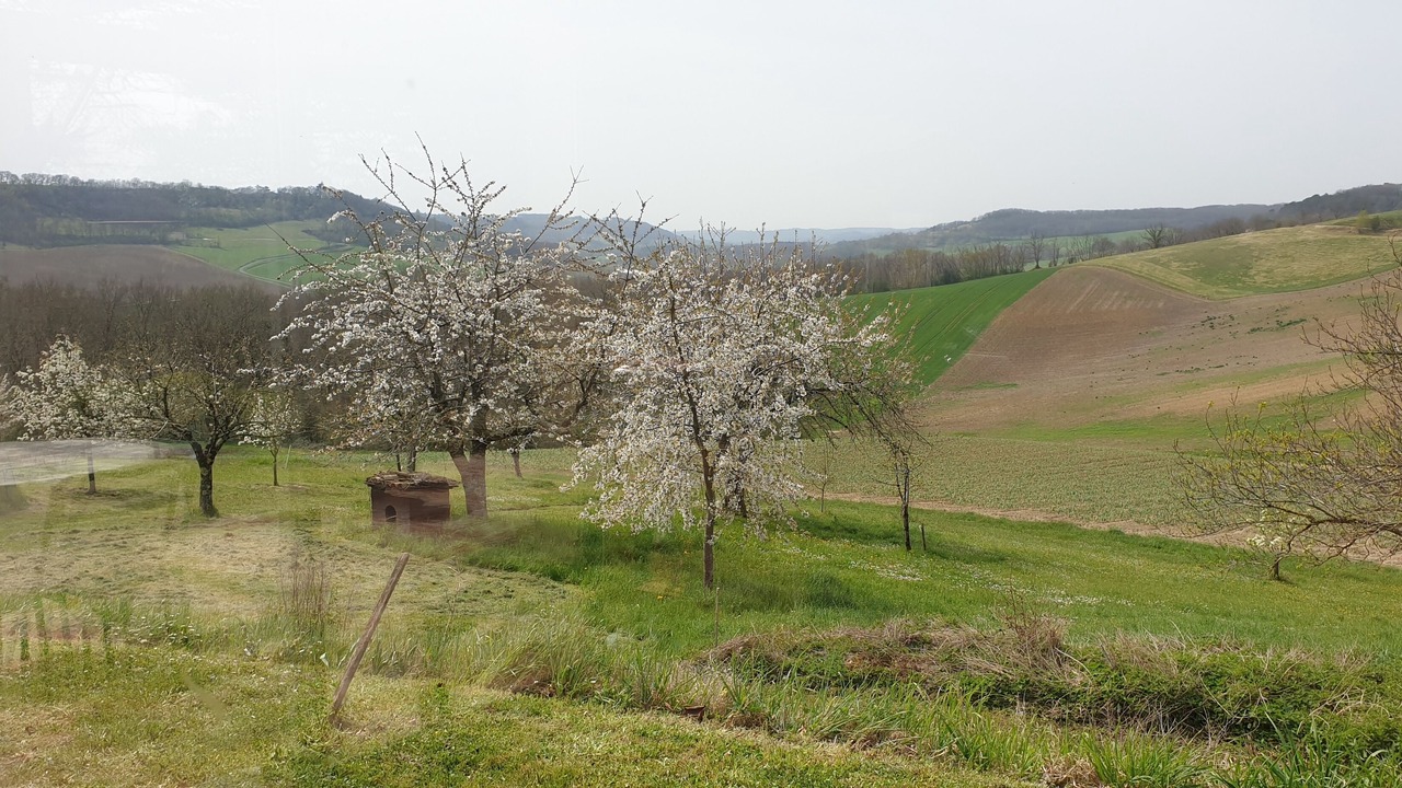 Photo of Others in Saint-Amans-du-Pech