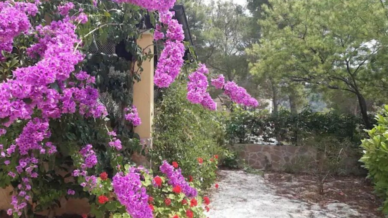 Photo of Outdoor in Cove Osibova (Milna)