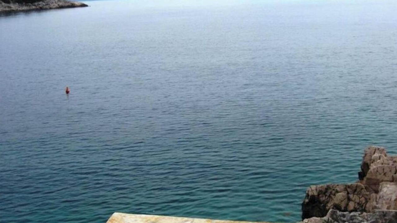 Photo of Others in Cove Osibova (Milna)