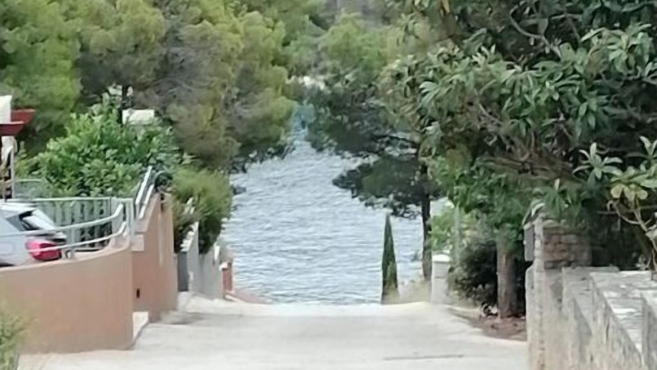 Photo of Others in Cove Osibova (Milna)