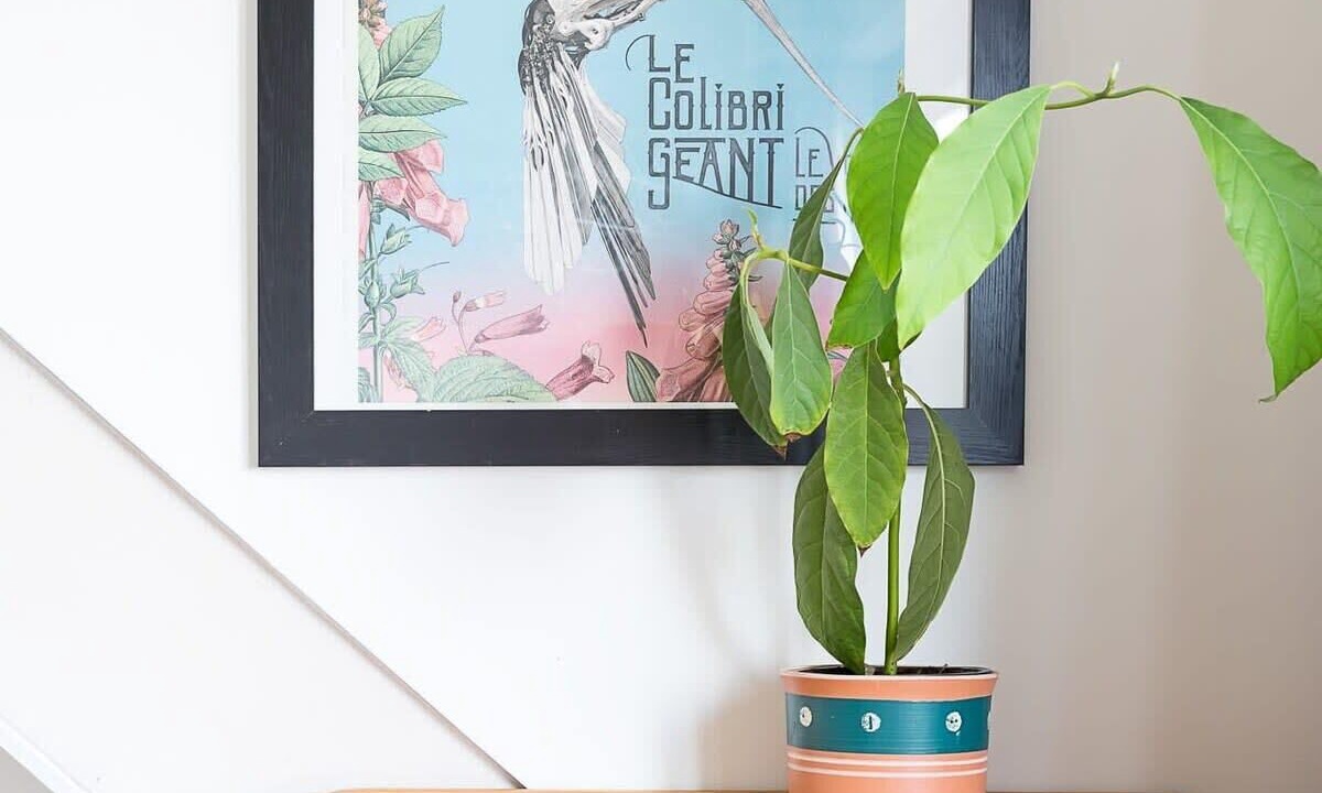 Photo of Others in Kegworth