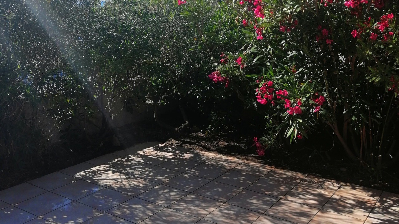 Photo of Outdoor in Le Barcares