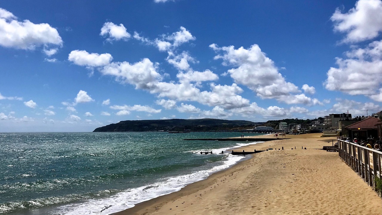 Photo of Others in Sandown