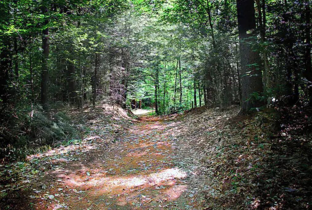 Photo of Outdoor in North Jay