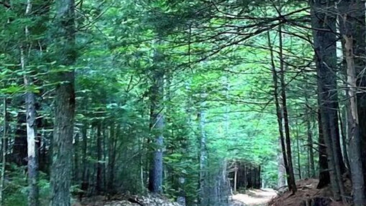 Photo of Others in North Jay