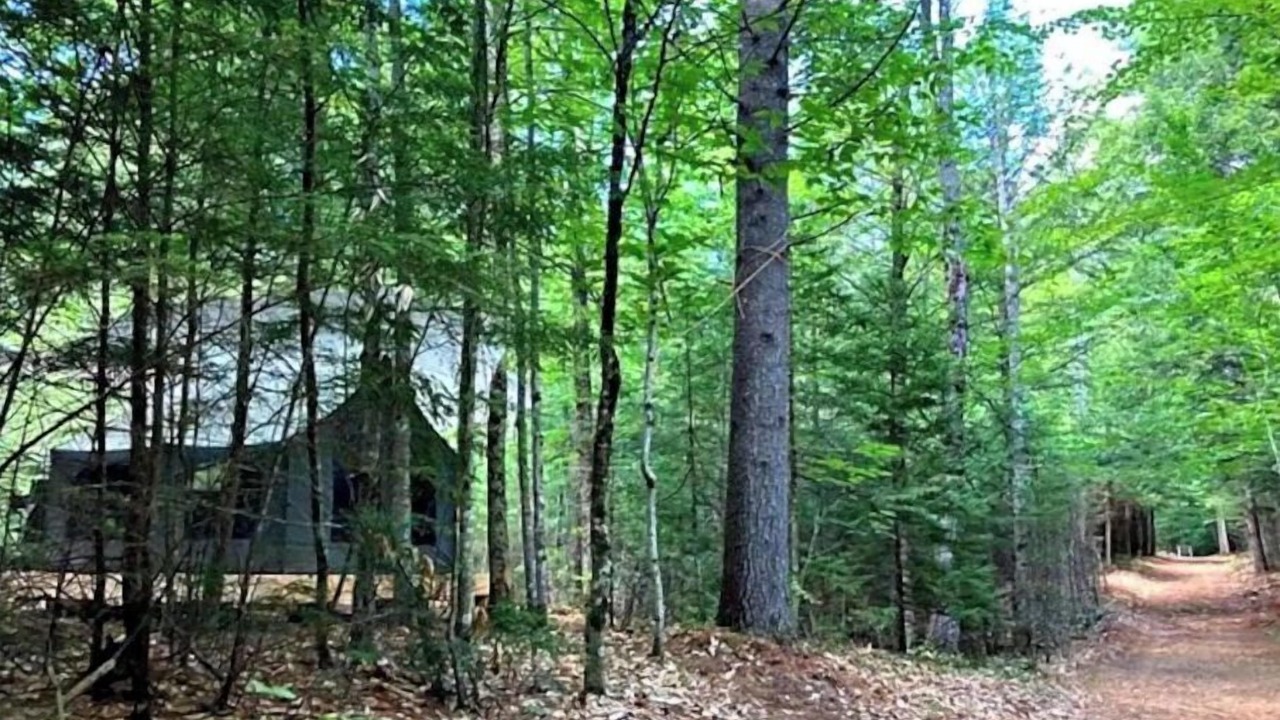 Photo of Outdoor in North Jay