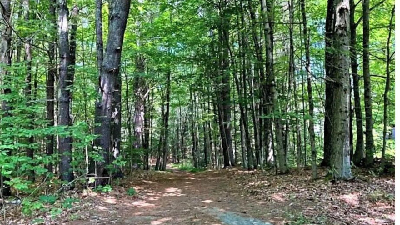 Photo of Outdoor in North Jay