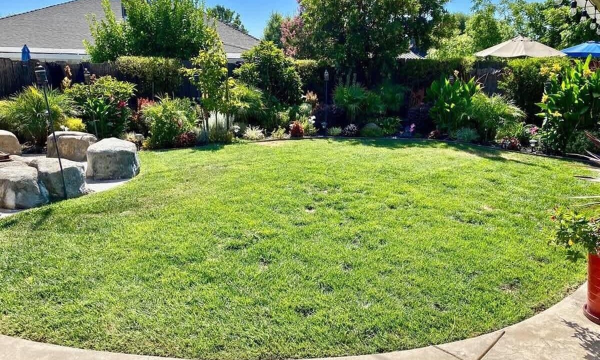 Photo of Outdoor in Roseville