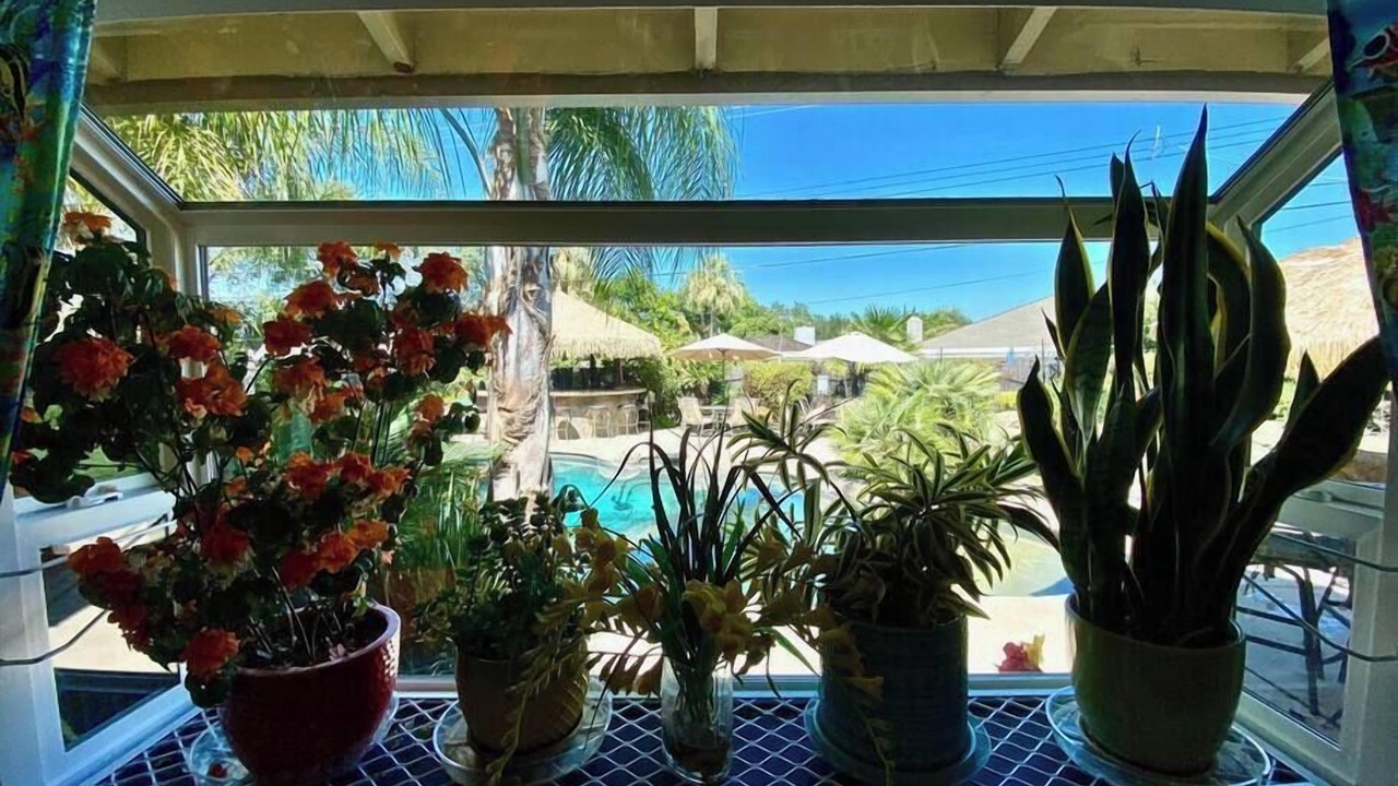 Photo of Outdoor in Roseville