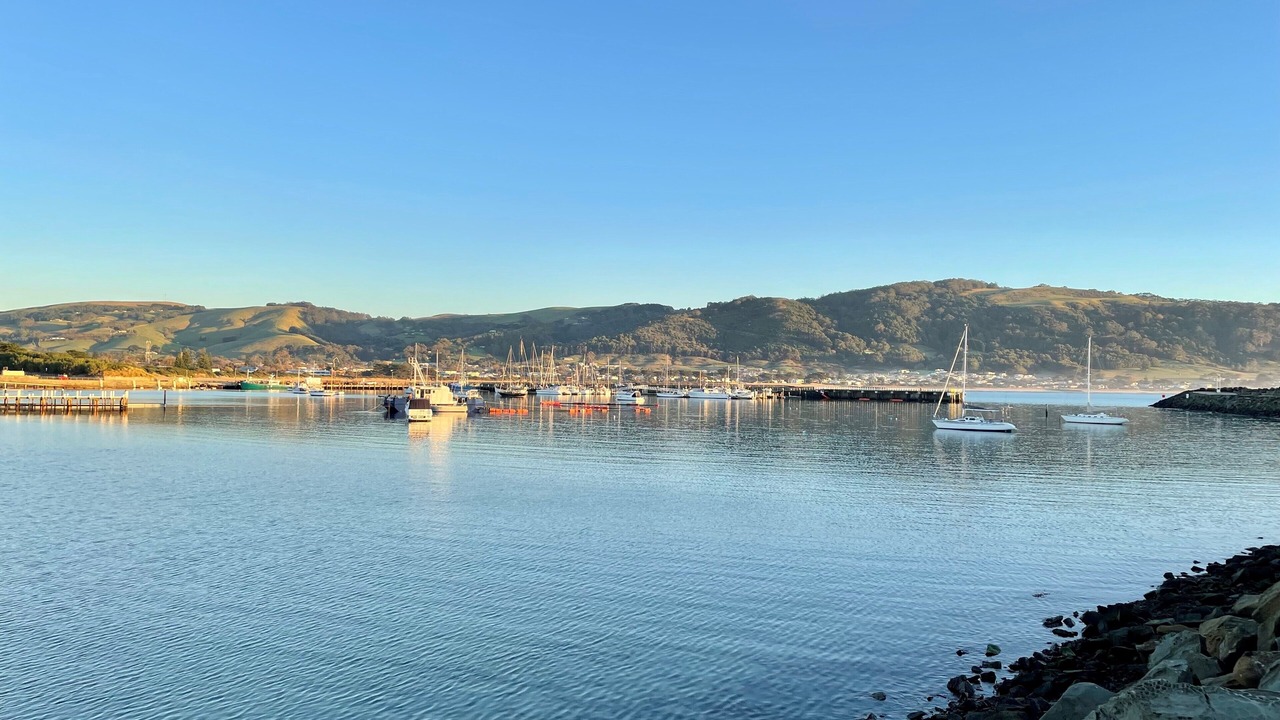 Photo of Others in Apollo Bay