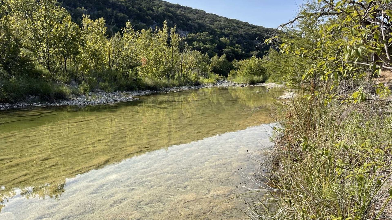 Photo of Others in Leakey
