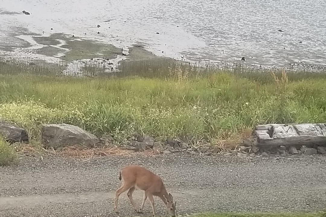 Photo of Others in North Bend