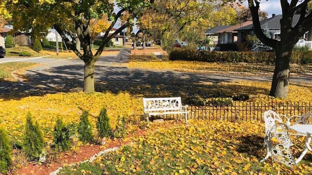 Photo of Outdoor in Woburn