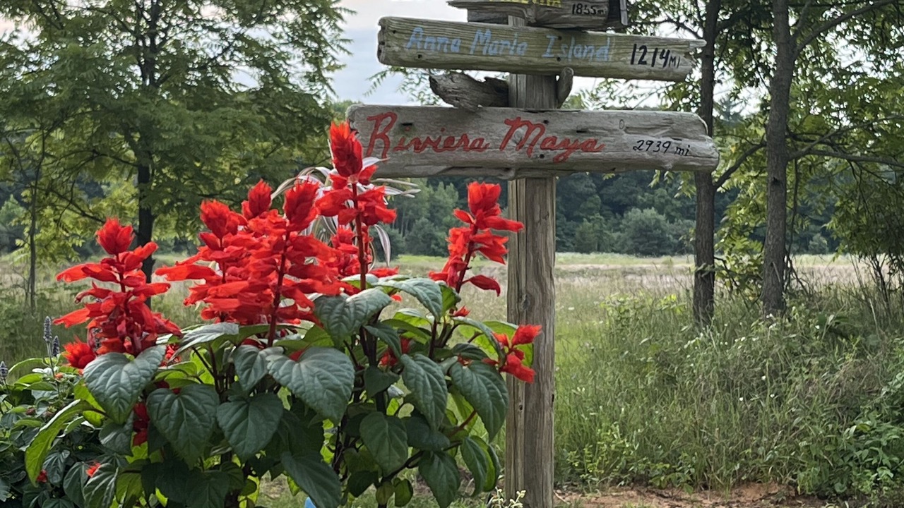Photo of Outdoor in Saugatuck