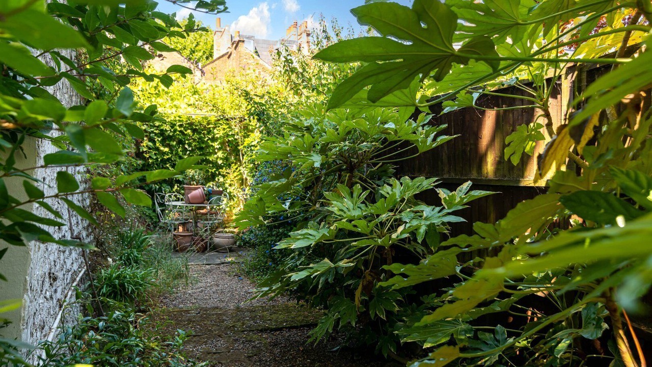 Photo of Outdoor in Camberwell Green