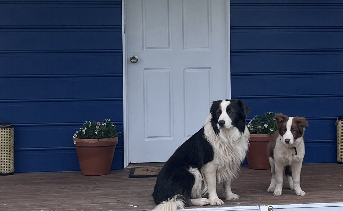 Photo of Outdoor in Golden Beach