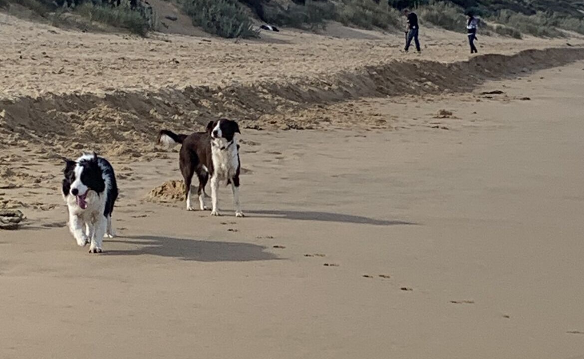 Photo of Others in Golden Beach