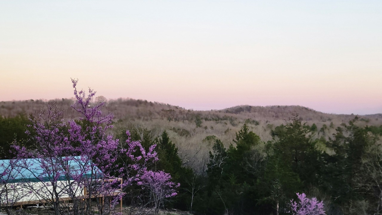 Photo of Outdoor in Squires