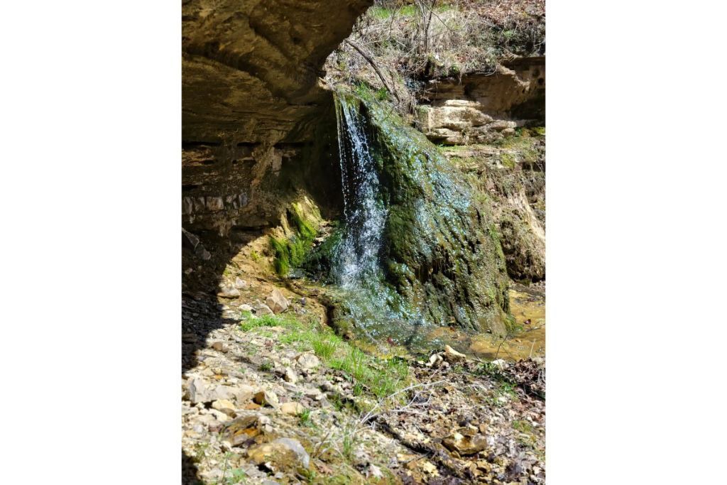 Photo of Outdoor in Squires