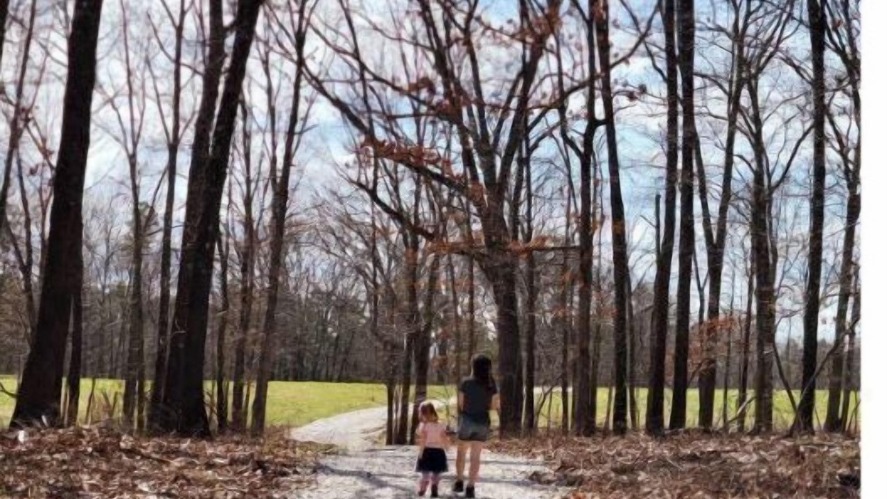 Photo of Outdoor in Squires