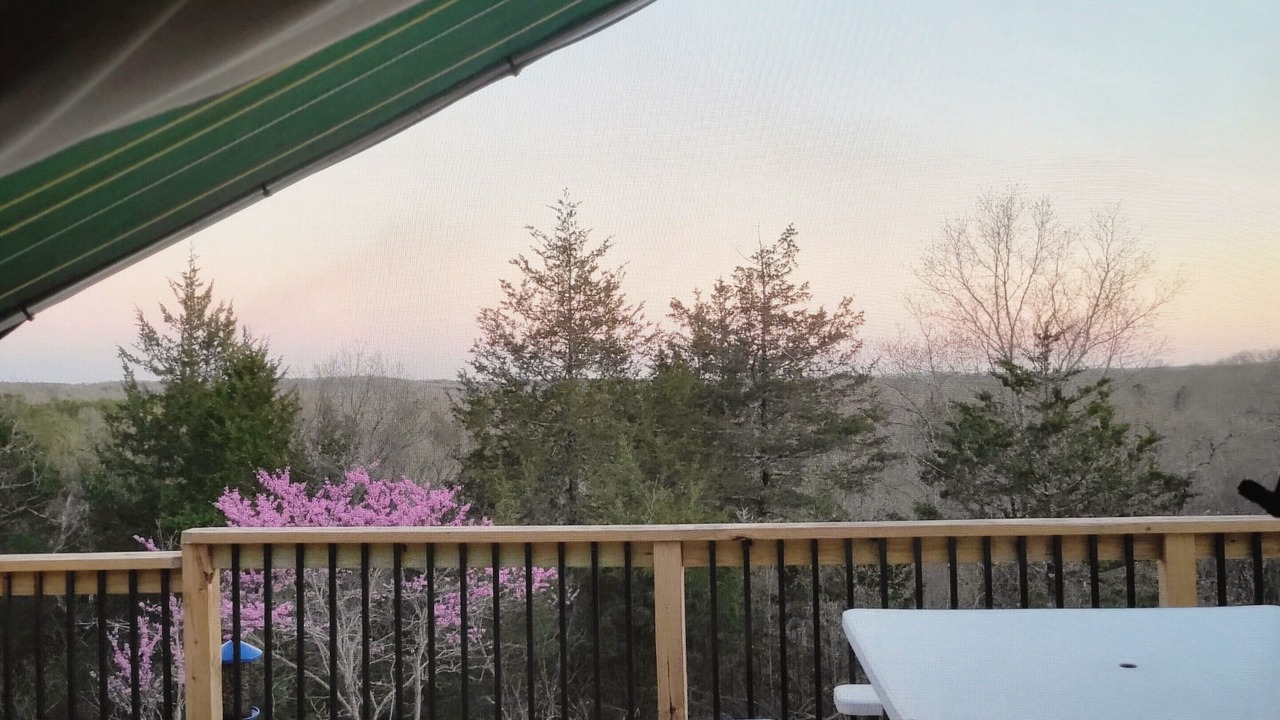 Photo of Outdoor in Squires