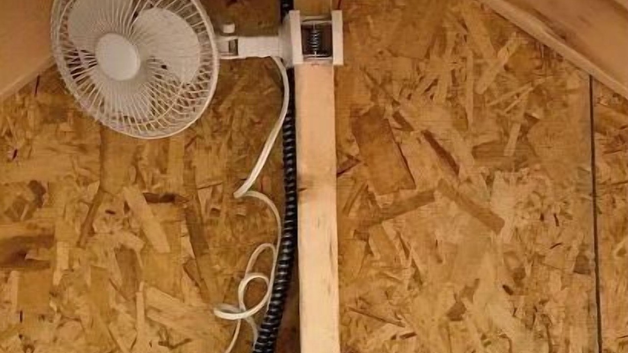 Photo of Others in Rock Hill