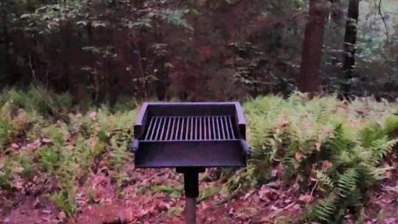 Photo of Outdoor in Rock Hill