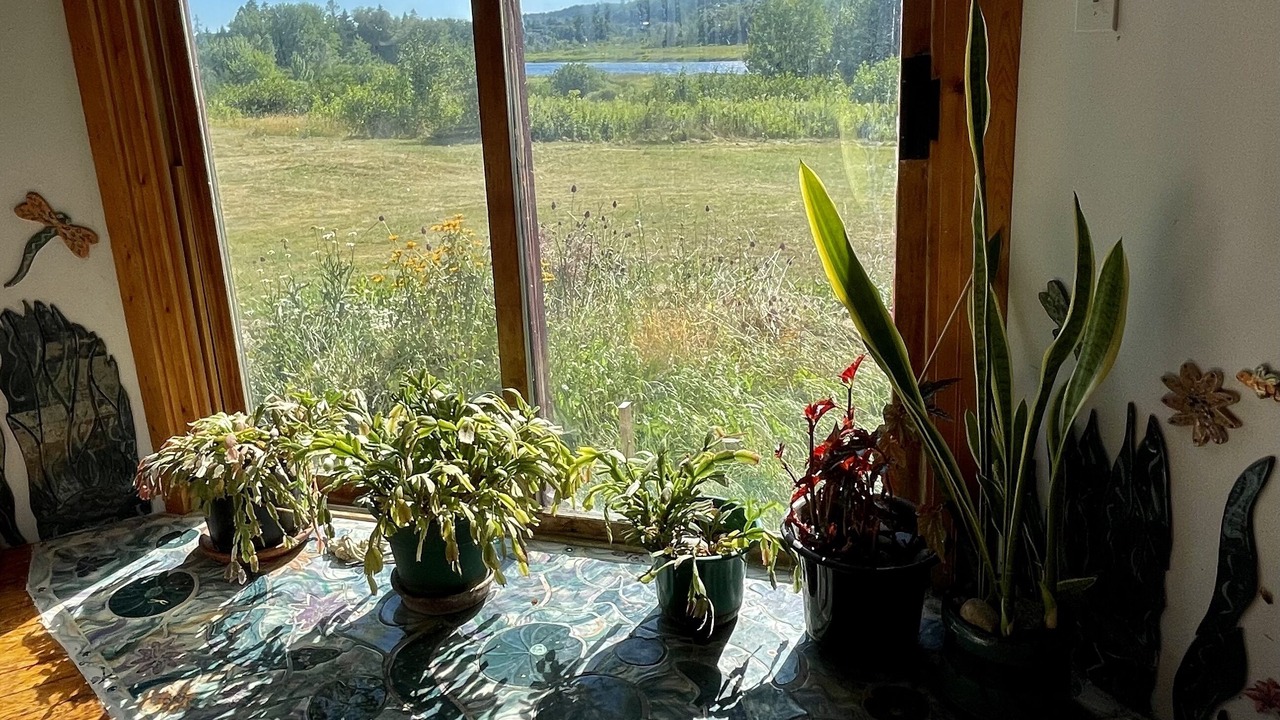 Photo of Bedroom in East Machias
