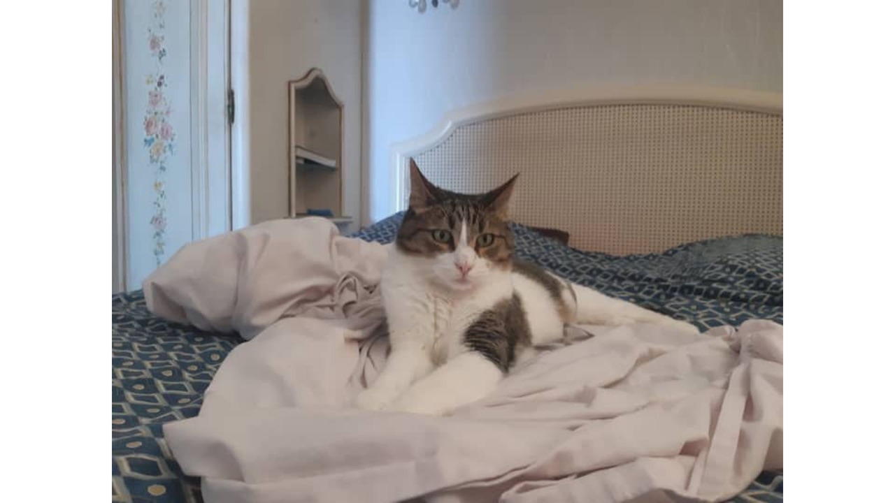 Photo of Bedroom in Le Piol