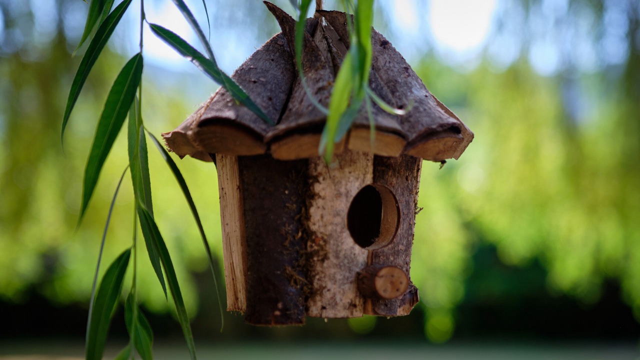 Photo of Others in Saint-Just-de-Claix