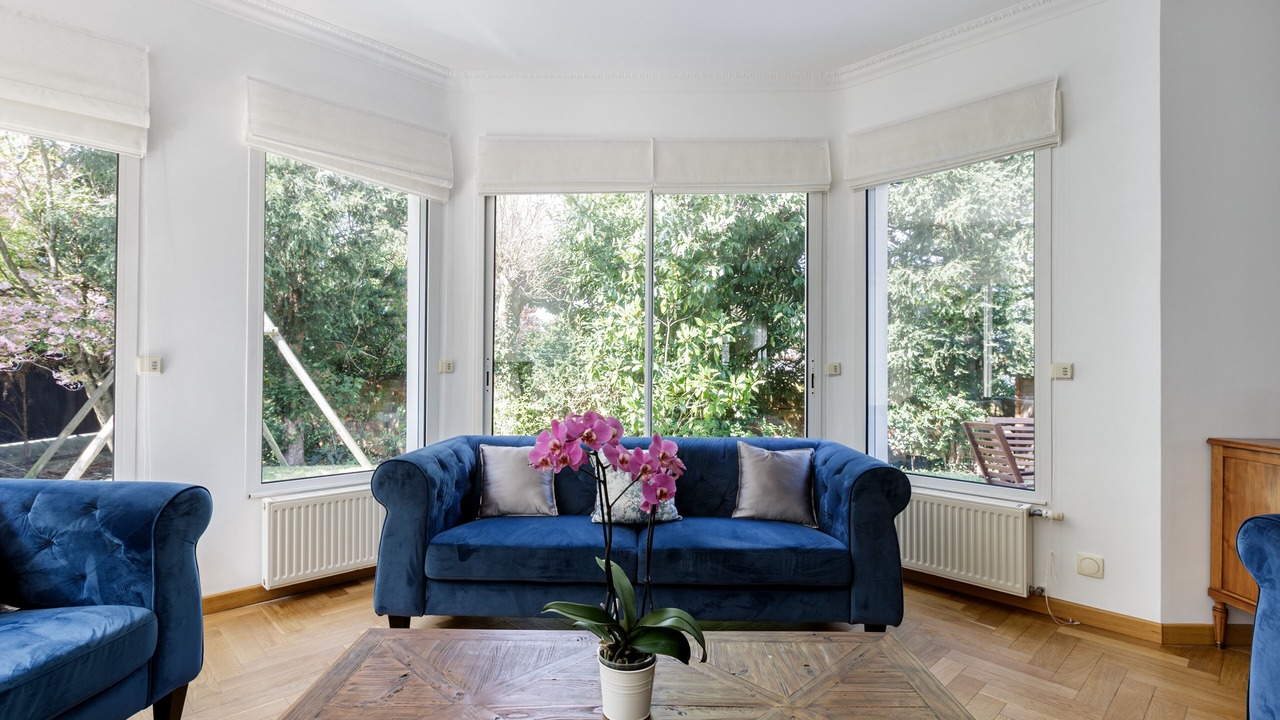 Photo of Livingroom in Le Chesnay